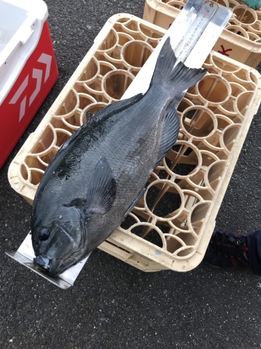 第32回トップ・クロ釣り大会結果発表