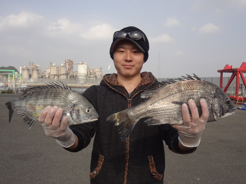 チヌ釣り大会in苅田港