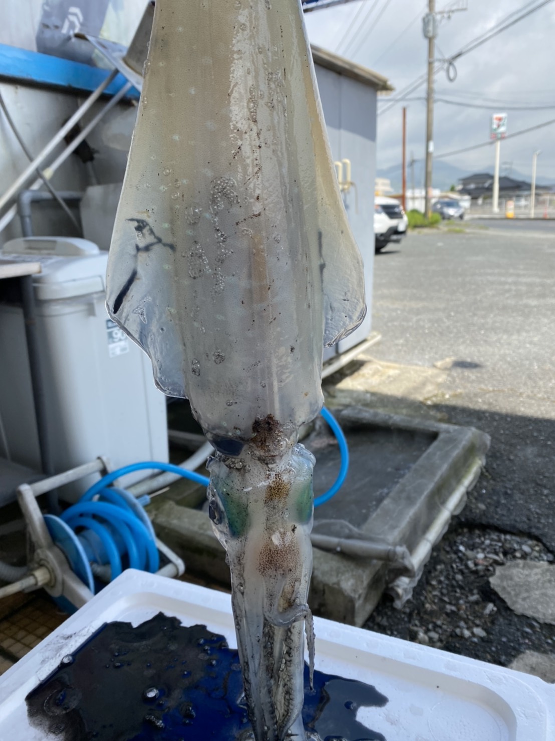 釣果情報 釣り用品トップ 釣果情報 釣り用品トップ