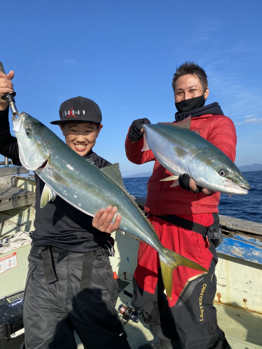 青物、その他